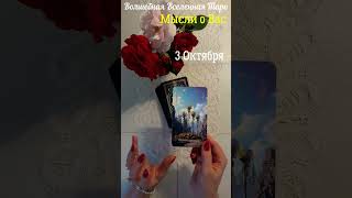 3 Октября 🍂 ️ 2025 Мысли о Вас: Четверка Жезлов.. #волшебнаявселеннаятаро