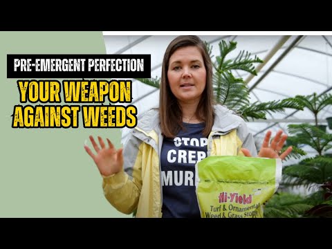 How to Prevent Weeds! | Catherine Arensberg