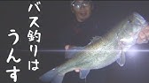 バス釣り 夜のブラックバスはサイズがデカイ説 Youtube