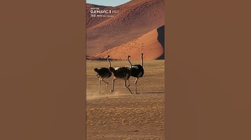 DJI Mavic 3 Pro