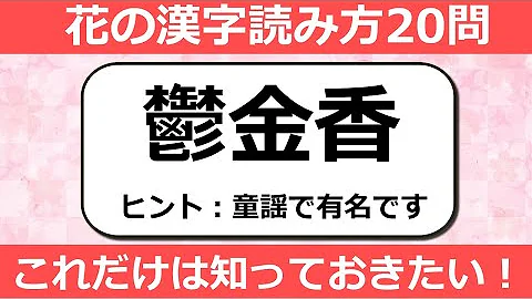 花の難読漢字クイズ 読みにくい花の名前を一問一答形式で出題 難問問 Mp3