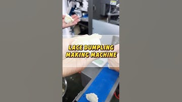 Amazing Process of Making Dumplings-How dumpling making machines working?