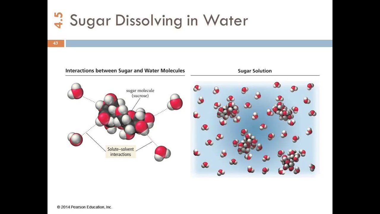 water molecule structure salt of Solubility 1A 4.5 YouTube & Solutions Types Aqueous water molecule structure salt of Solubility 1A 4.5 YouTube & Solutions Types Aqueous