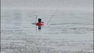 STORY WA | Mancing Ikan Nila | Nyobok🤣 #shorts