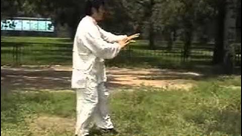 Xu Shixi Chen Style Taiji First Form, Level 1 - Static Phase