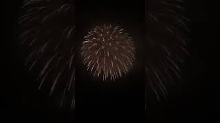5Inch (125mm) Display Shell [ Gold Titanium Willow To White Strobe ] #fireworks #fireworksdisplay
