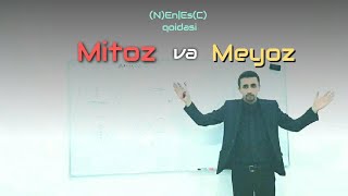 Хужайра цикли, Mitoz va Meyoz