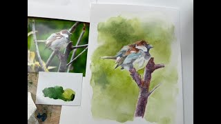 Sparrow vignette - adding a soft focus background using watercolour