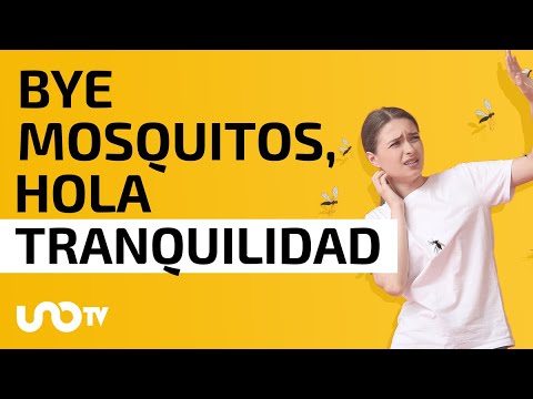 Video: ¿Existen remedios caseros para los mosquitos?