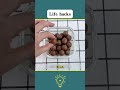 Life hacks #diy #nsaleonyoutube #liemtuduy #paracord #knots