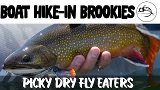 Fly Fishing for BROOK Trout with Ants & Callibaetis: Float Tube Hike, Alpine Lake. screenshot 5
