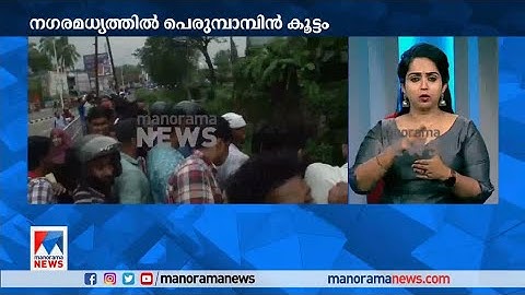 കോഴിക്കോട് നഗരമധ്യത്തില്‍ പെരുമ്പാമ്പിന്‍ കൂട്ടം ​|Snake |Kozhikode|