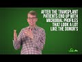 What Your Microbiome Does For Your Body