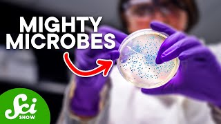 Meet Your Microbiome! Meet Your Microbiome!