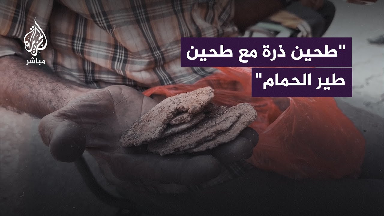 "عندي بنات نايمات من الجوع".. ورغيف خبز من طحين طير الحمام