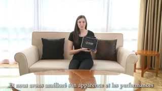 #Français#Manuel de Collier professionnel de Dressage de chien avec télécommande Aetertek AT 919C screenshot 2