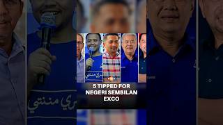 5 reps linked to speculation on new Negeri Sembilan exco