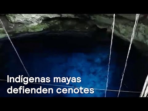 Indígenas mayas rechazan criadero de cerdos cerca de cenotes - Despierta con Loret