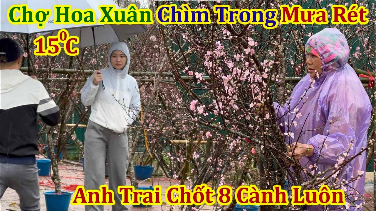 Женщина из этнического меньшинства плачет от радости, наблюдая, как ее брат в утренний дождь и хо...