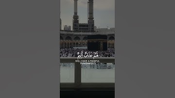 ناصر القطامي حالات واتس اب قران ❤ تلاوة خاشعة 💙Quran Status 💜 اية قرانية قصيره 💚 ستوريات انستا