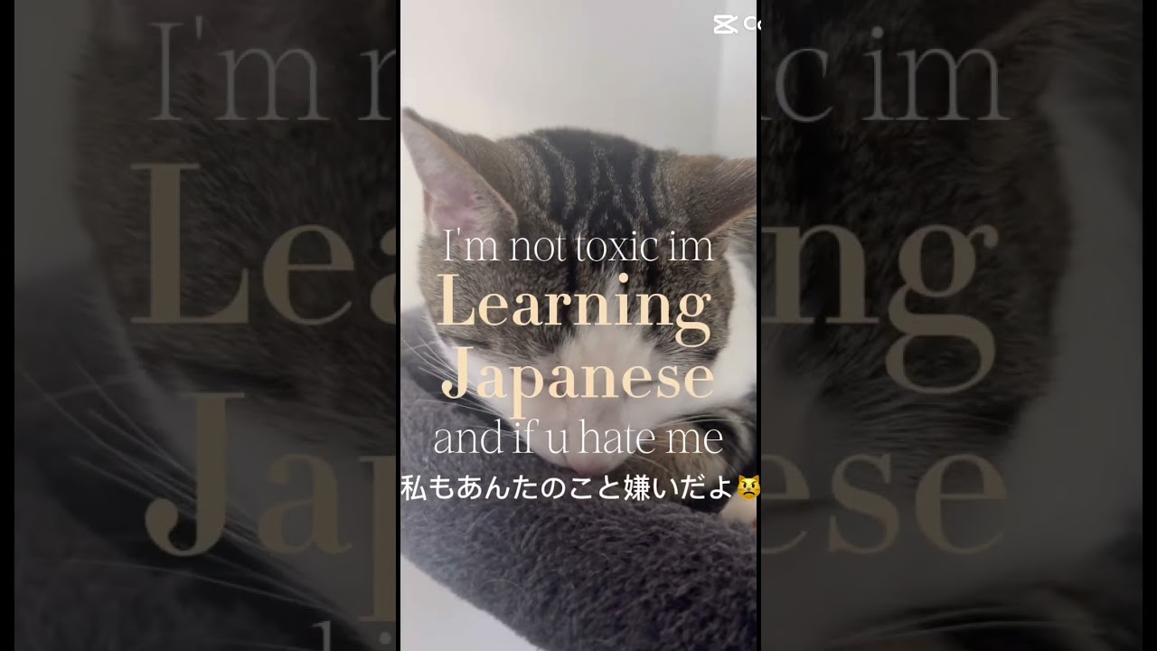 正直、ぶっちゃけどうでもいい。 #fypシ゚viral #giveusourstolenmoneyback #plsmakeitviralasap #motivation