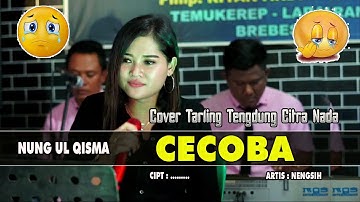 CECOBA ~ TARLING TENGDUNG || NUNG UL QISMA COVER  CITRA NADA
