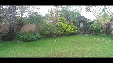 MSR: Servo Extend Resistor Mod - Nose Down Close to Ground 1