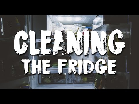 Airstream Refrigerator &