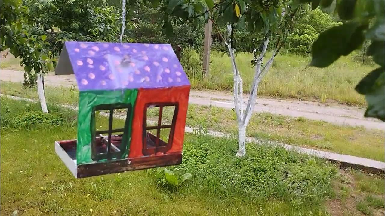 Оригинальная кормушка для птиц - YouTube
