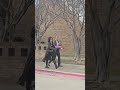 [AUDIT] Bedford Police Department 