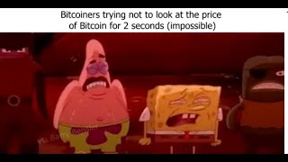 Crypto Slander Part 2 Profile