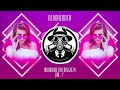 Moombahton mix 2024 vol 7  j balvin maluma serani major lazer sean paul karol g kayne west