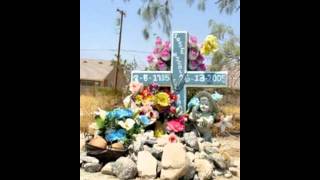 the roadside memorials of dhs