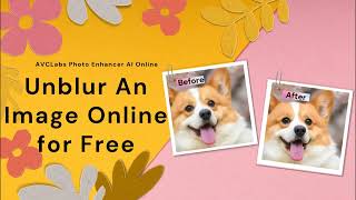 How to Unblur An Image Online for Free Using AVCLabs Photo Enhancer AI Online screenshot 3