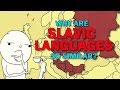 Slavic Languages | Why are they so similar to eachother?