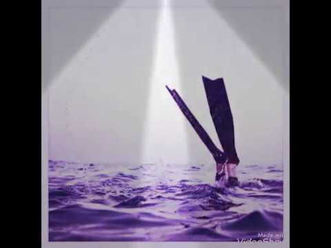 كاريوكي الكيف