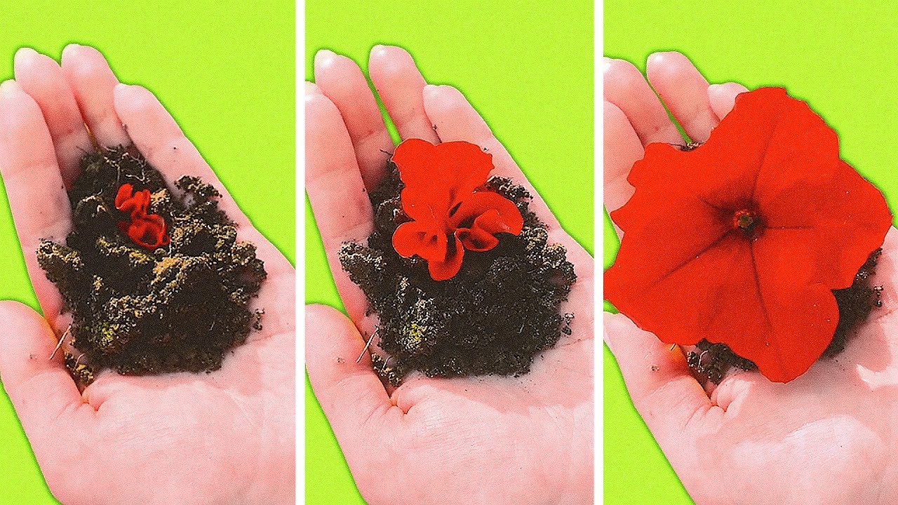 45 EASY HACKS TO MAKE YOUR VIDEO VIRAL