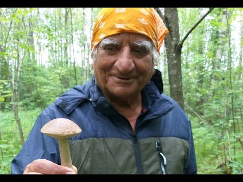 Частное видео индусов