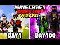 I Survived 100 Days as a WIZARD In hardcore Minecraft