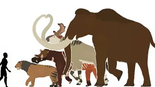 cenozoic beasts animated size comparison