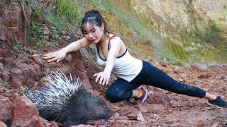 Hedgehog Suddenly Appeared - Process of Digging Porcupine Burrows - Catch Porcupines | My Free Life