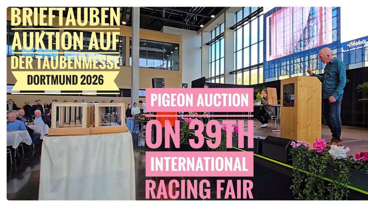  39. BRIEFTAUBENMESSE 2026 #BRIEFTAUBENAUKTION, #Pigeon Auction on 39th International Racing Fair 