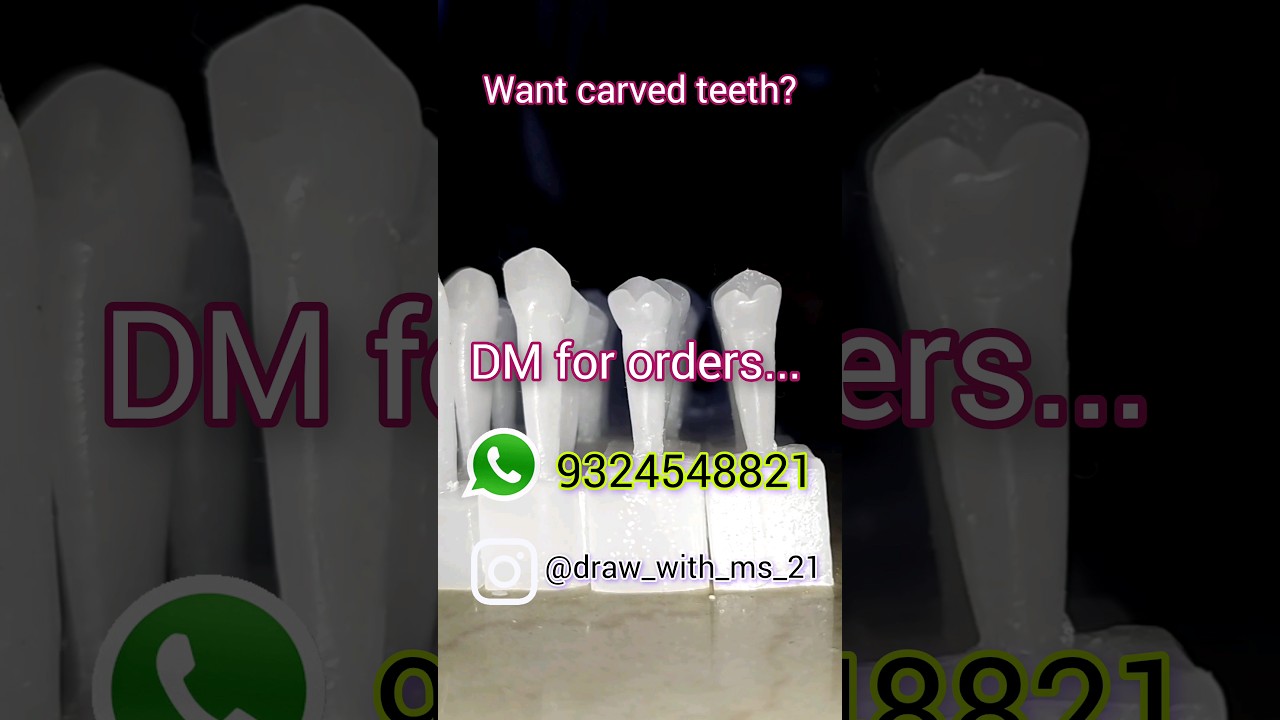 Maxillary Central incisor carving | maxillary 1st molar carving | mandibular | canine | premolar