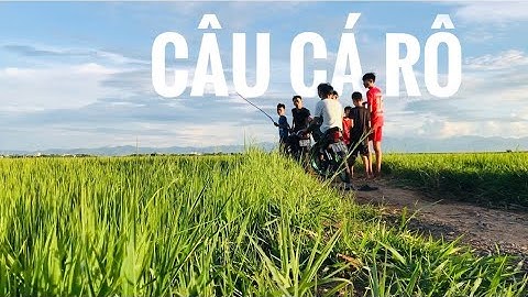 CÂU CÁ RÔ ĐỒNG Ở QUÊ NẪU PHÚ YÊN
