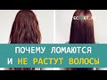 Почему ломаются и не растут волосы | ECONET.RU