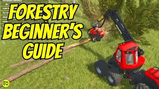 Farming Simulator 25 Forestry Guide - Turn Trees into Income!