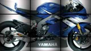 boomerang seumur hidup