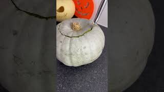 Jack And Sally Pumpkins #nightmarebeforechristmas #pumpkin