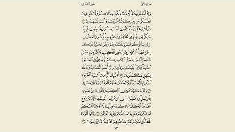 سورة البقرة مكرر 5 مرات ( رعد الكردي ) صفحة 13