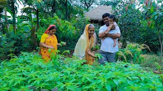 তেতো পাট শাক দিয়ে মুসুরির ডাল আমাদের বাড়ির খুব প্রিয় একটা রেসিপি | by TradiSwad 211,072 views 3 weeks ago 13 minutes, 22 seconds